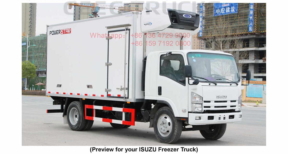 French Polynesia--ISUZU ELF 8Tons Freezer Truck Manual French Polynesia--ISUZU ELF 8Tons Freezer Truck Manual