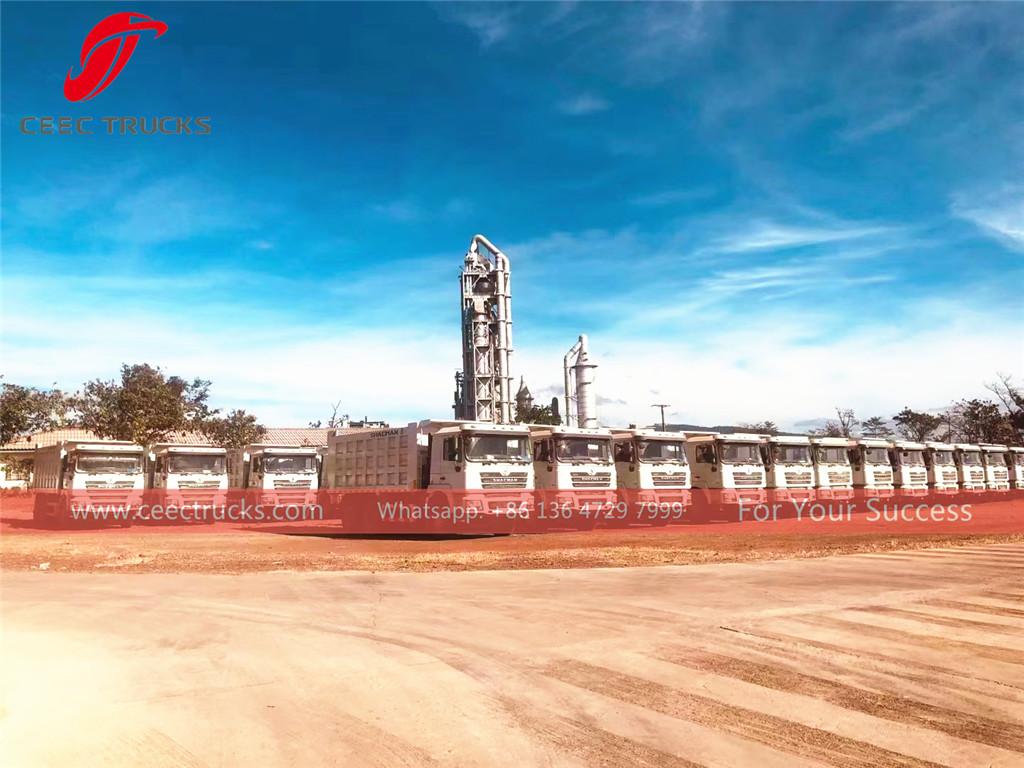 Guinea-20 unit lori tambak SHACMAN untuk kerja lombong